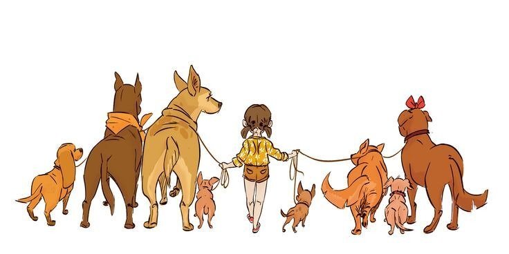 Foto de portada del instructor